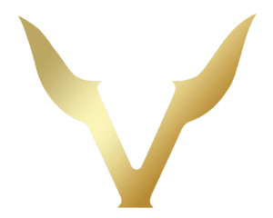 Vikings gradient logo